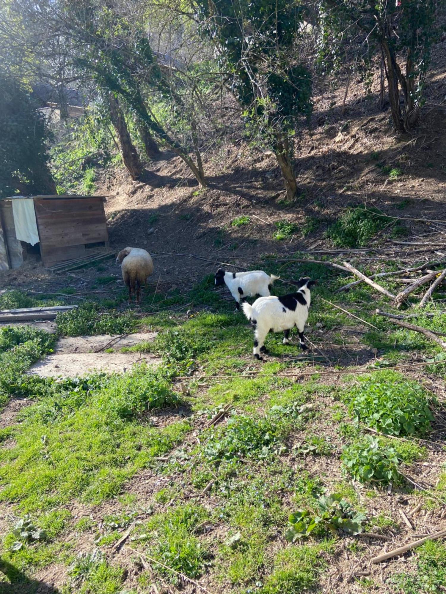 ホテル La Bastide D'Albignac Le Dourn エクステリア 写真