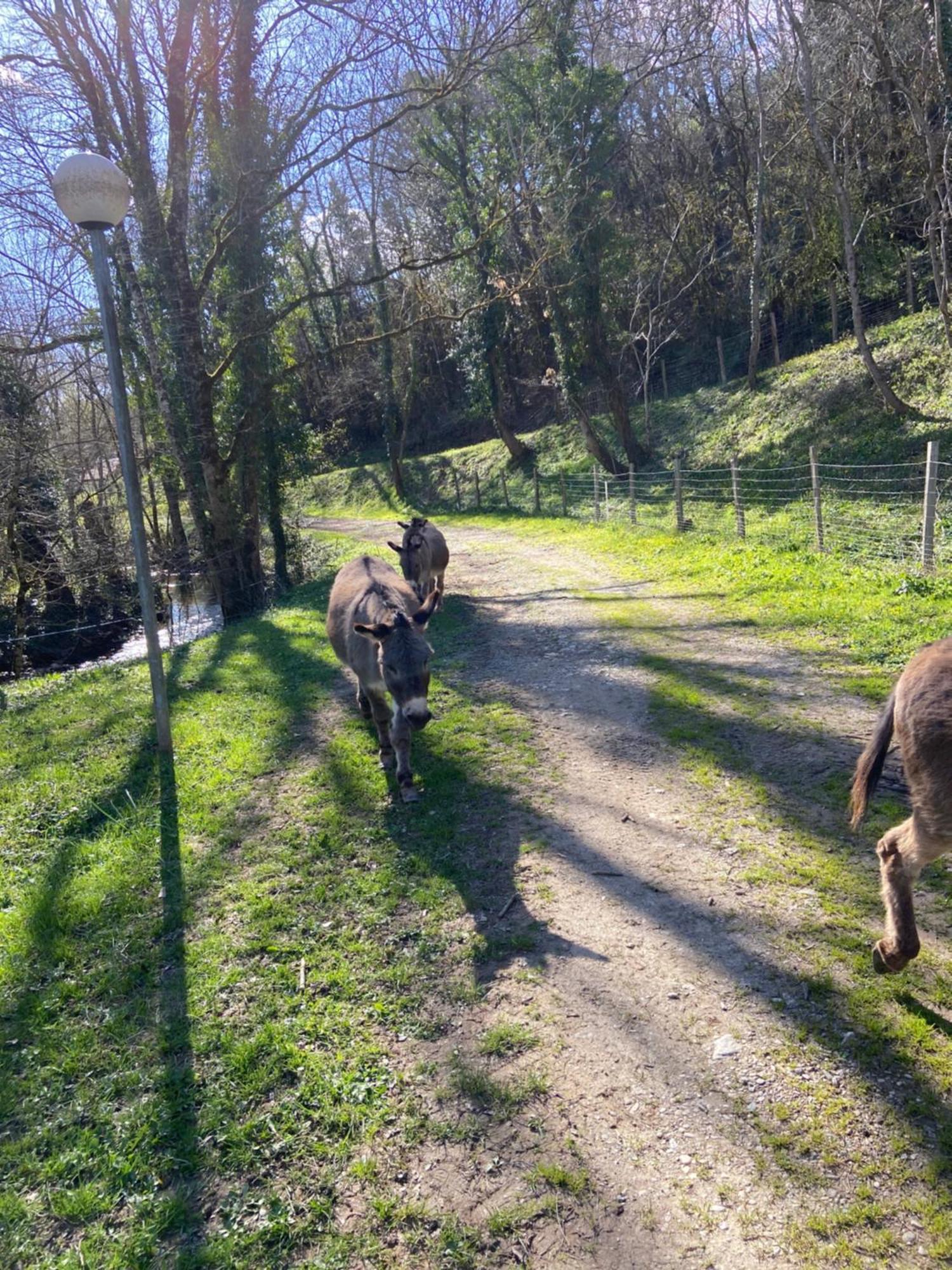 ホテル La Bastide D'Albignac Le Dourn エクステリア 写真