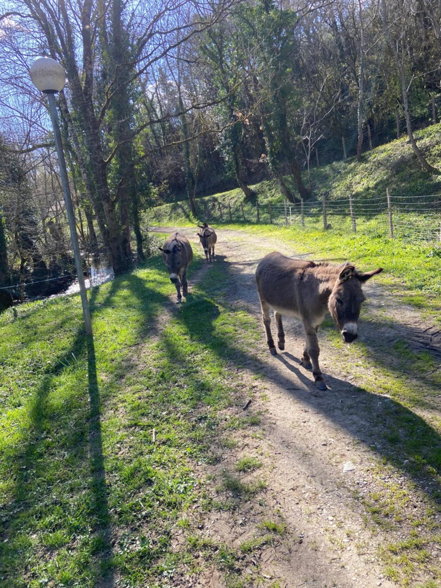 ホテル La Bastide D'Albignac Le Dourn エクステリア 写真
