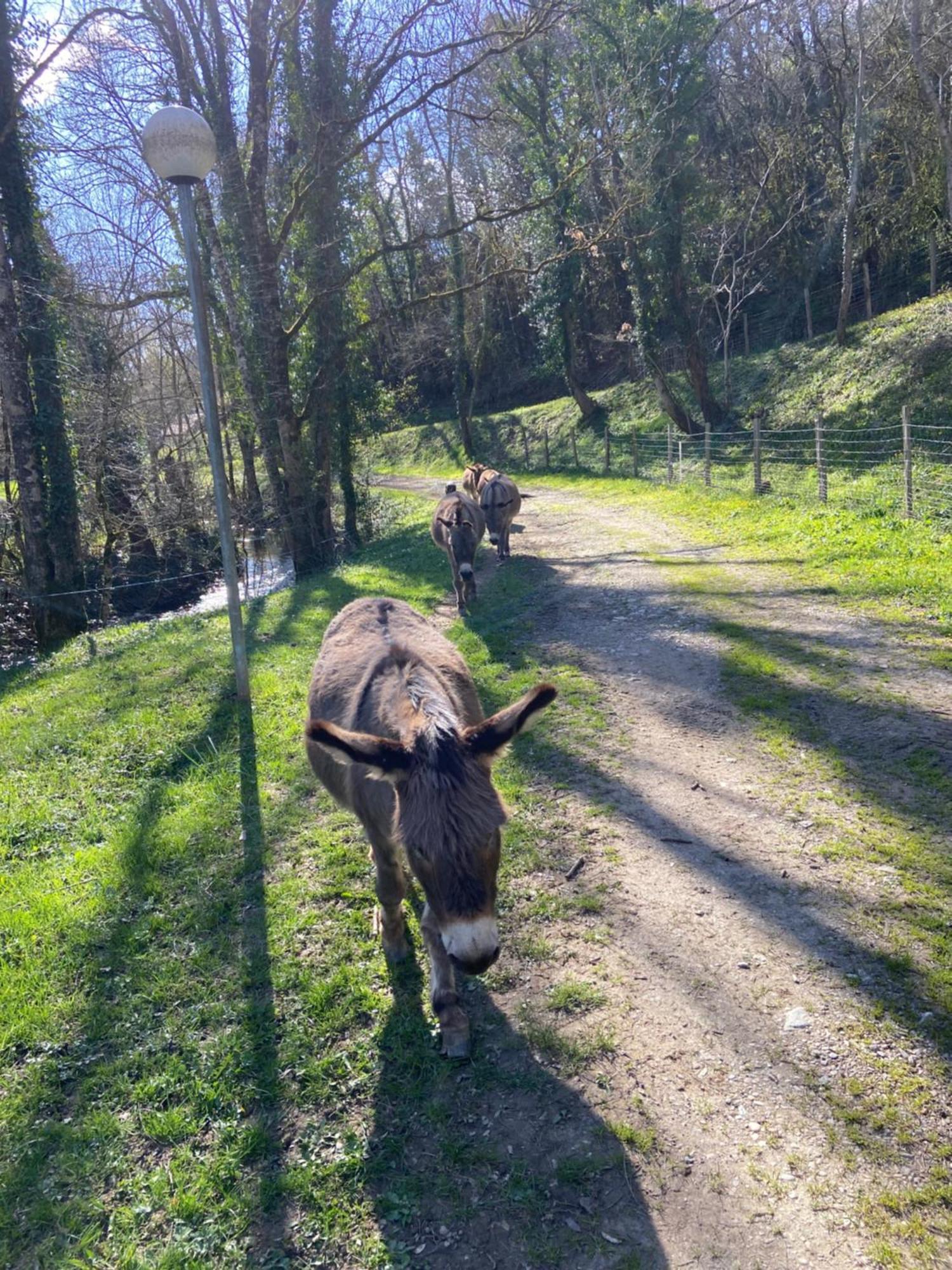 ホテル La Bastide D'Albignac Le Dourn エクステリア 写真