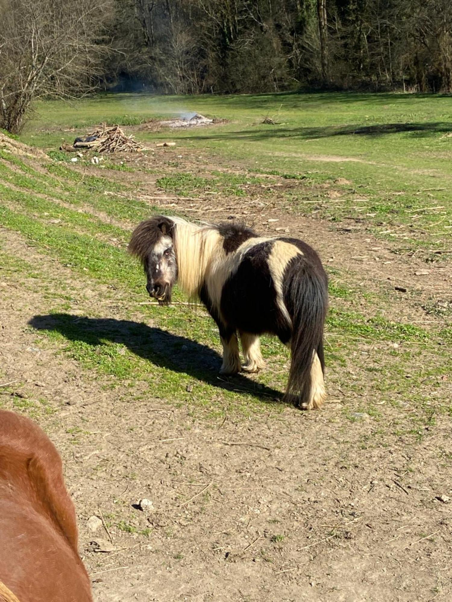ホテル La Bastide D'Albignac Le Dourn エクステリア 写真