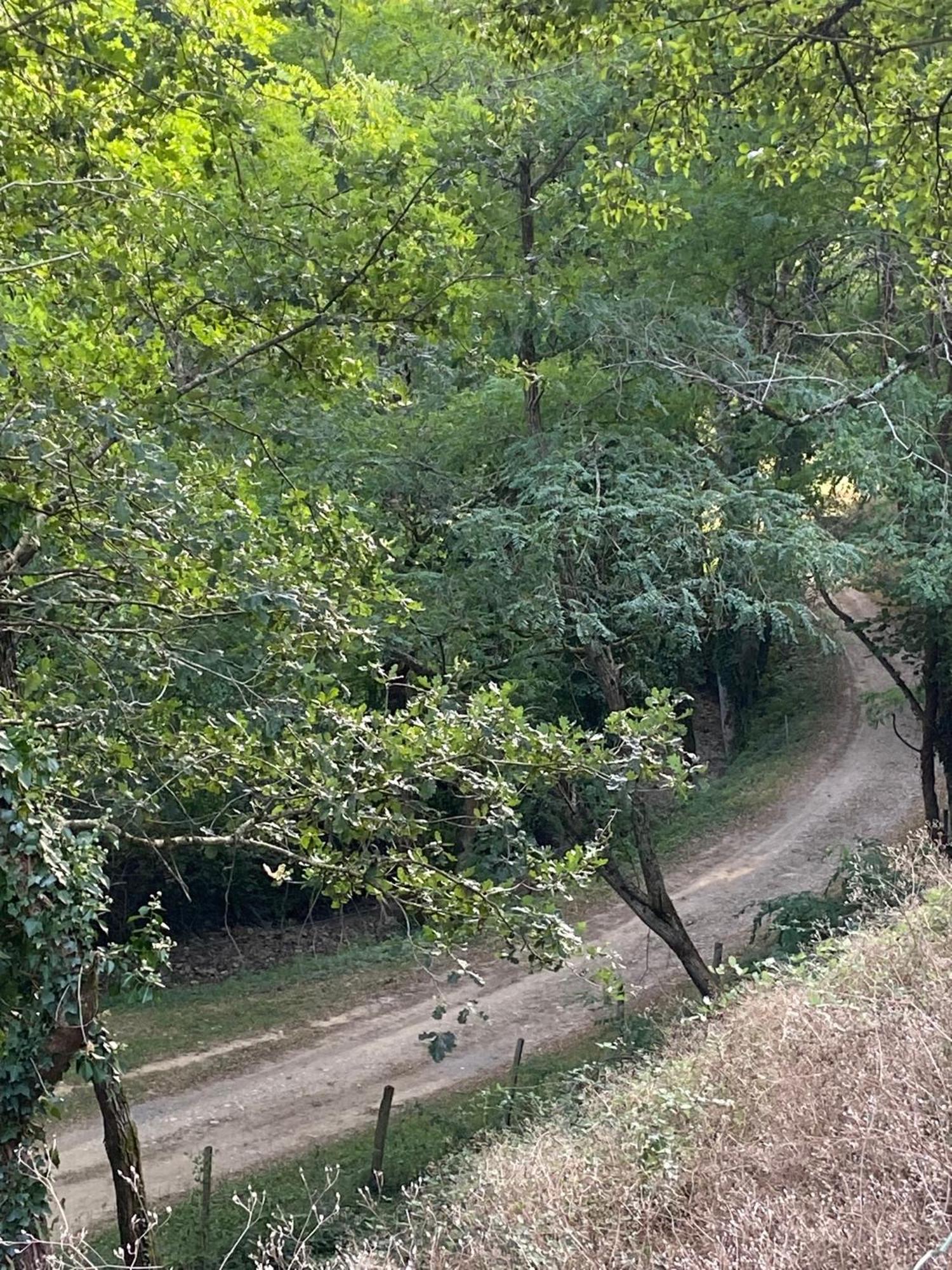 ホテル La Bastide D'Albignac Le Dourn エクステリア 写真